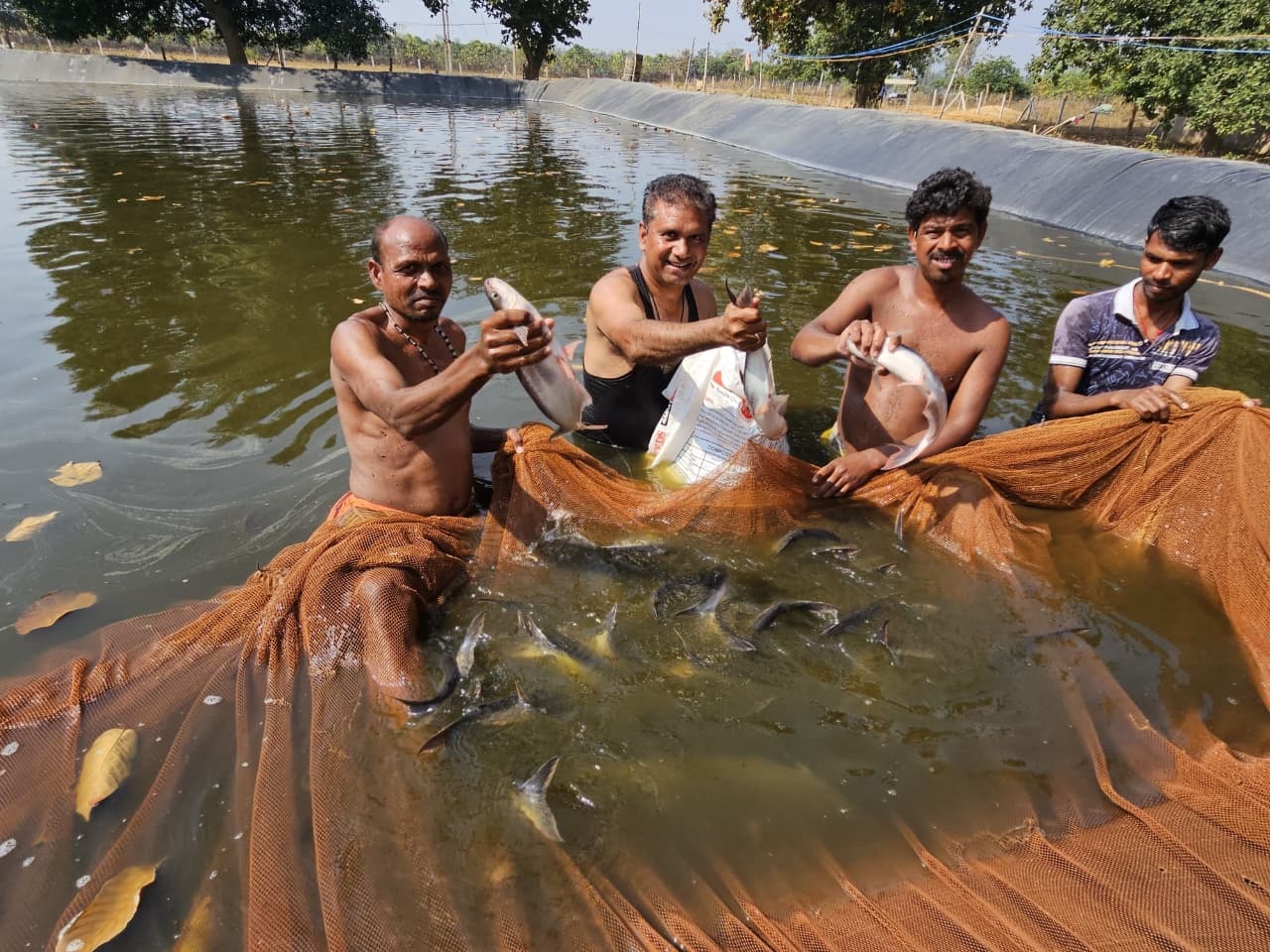 बॉयोफ्लॉक तकनीक से मछली पालन कर संजय सुमन ने कमाए साल में 3.20 लाख