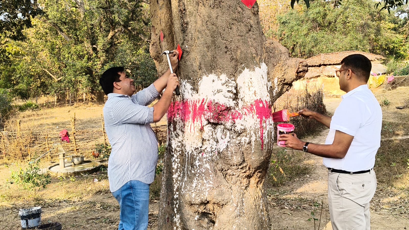 सड़क सुरक्षा माह समापन कार्यक्रम में कलेक्टर एवं पुलिस अधीक्षक ने पेड़ों पर रेडियम पट्टी लगाकर किया श्रमदान दिया सुरक्षा संदेश