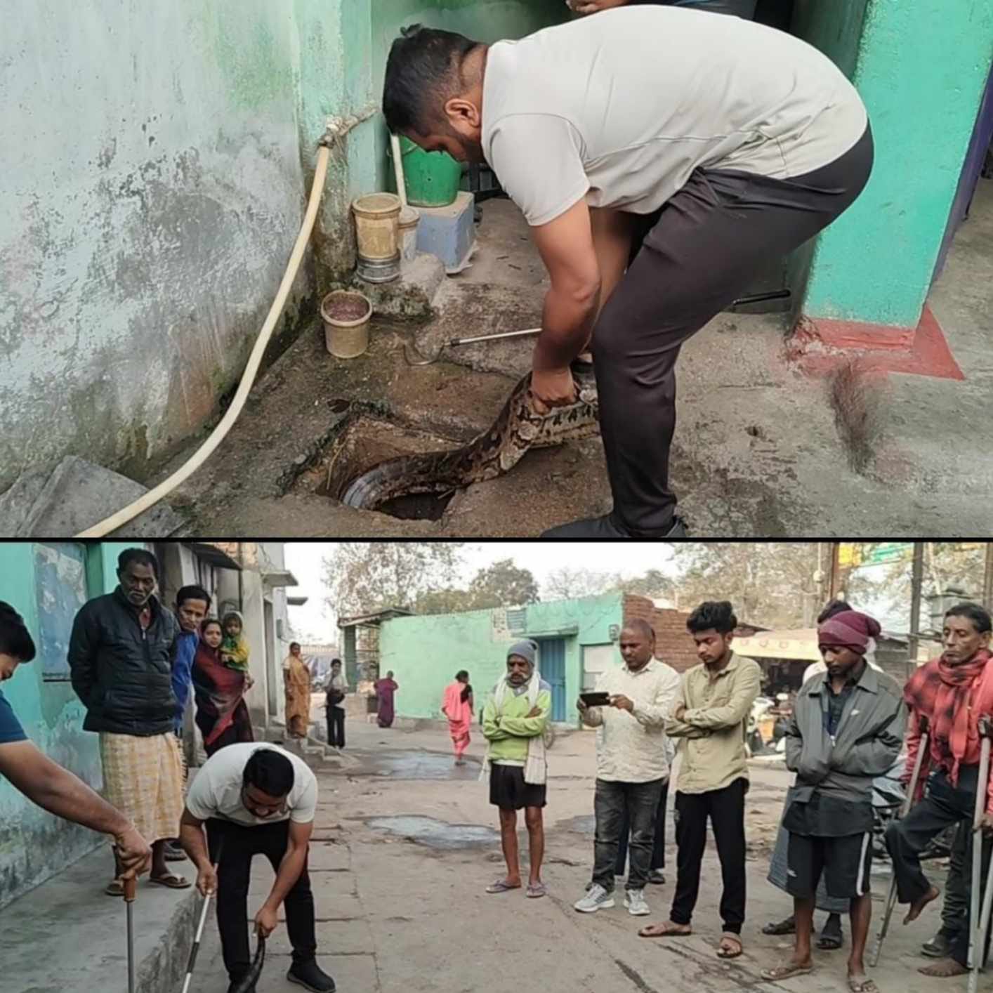 सीतामढ़ी में घर के पाइप लाइन में बैठा विशाल काय अजगर, सुबह उठते ही नजर पड़ी तो देख कर होश उड़ गए जितेंद्र सारथी ने किया सफल रेस्क्यु।