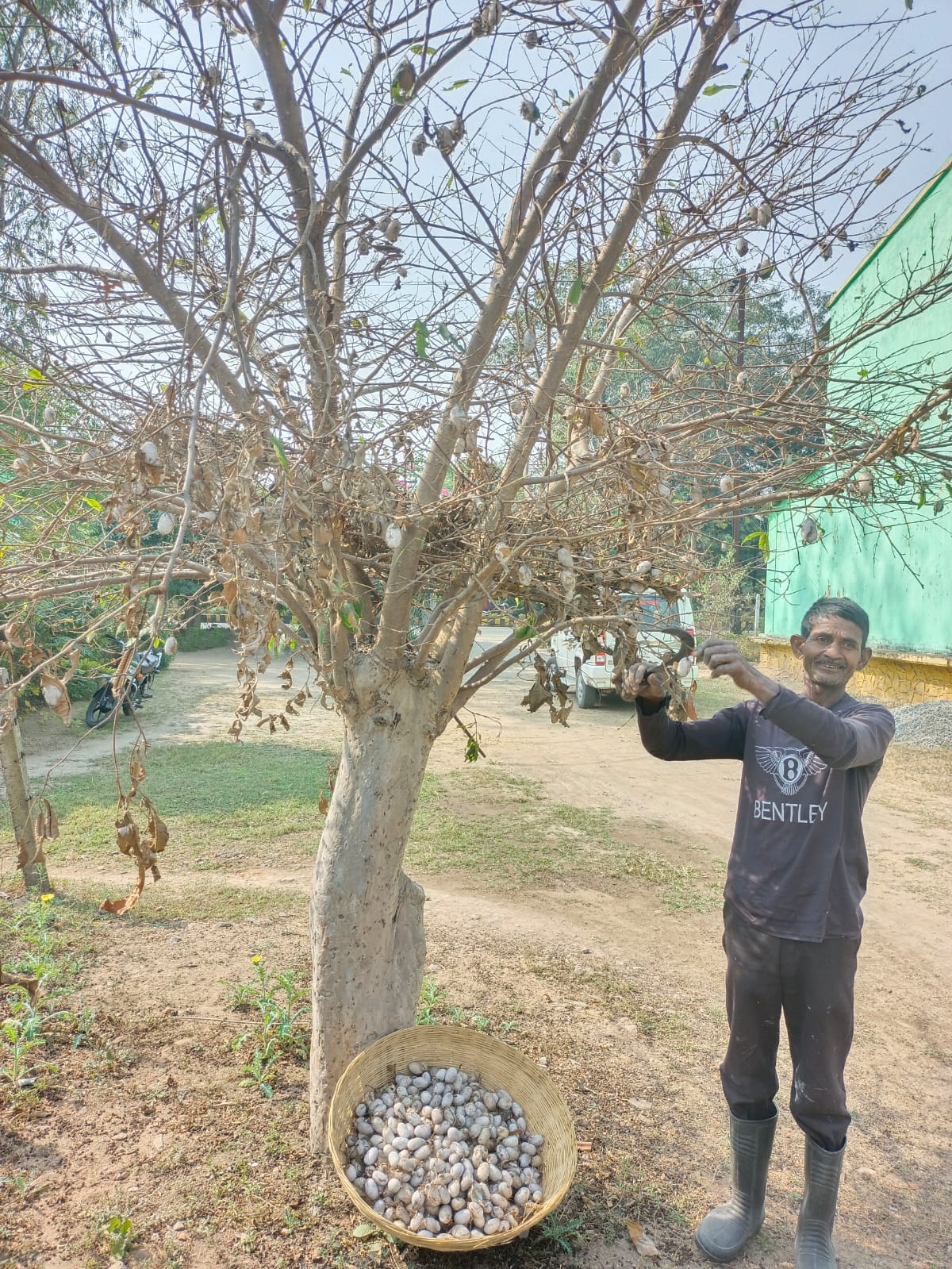 भूमिहीन किसान छेदूराम ने कोसा उत्पादन से अर्जित किए 6.30 लाख रुपये