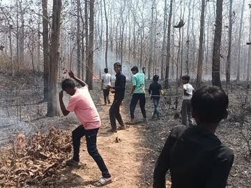 नर्सरी में लगी भीषण आग, मशक्कत से पाया काबू, चपेट में आए पेड़ पौधे और जीव-जंतु