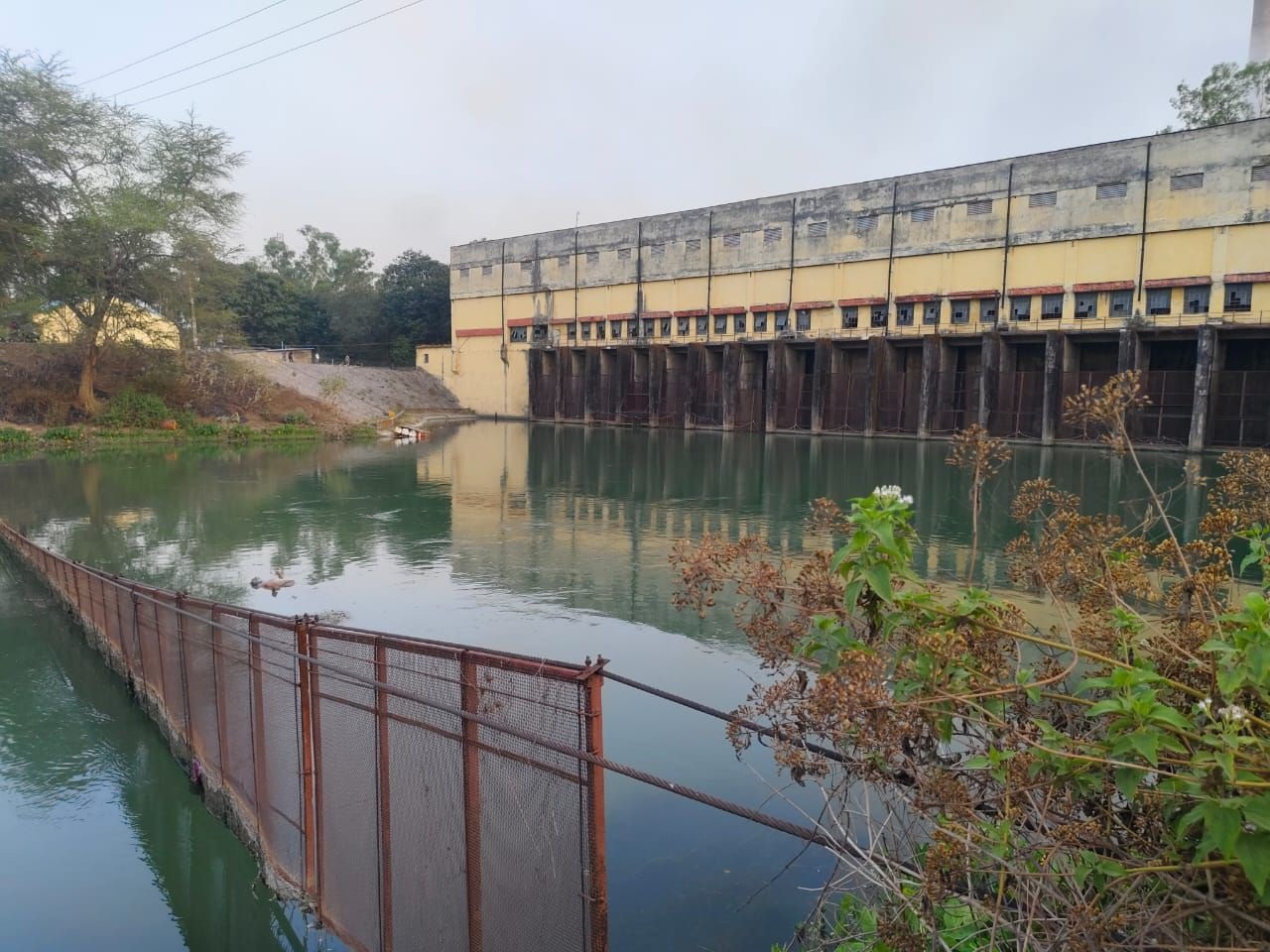 दर्री केनाल में तैरते मिली युवक की लाश, डीडीआरएफ की टीम ने रेस्क्यू कर शव निकाला बाहर